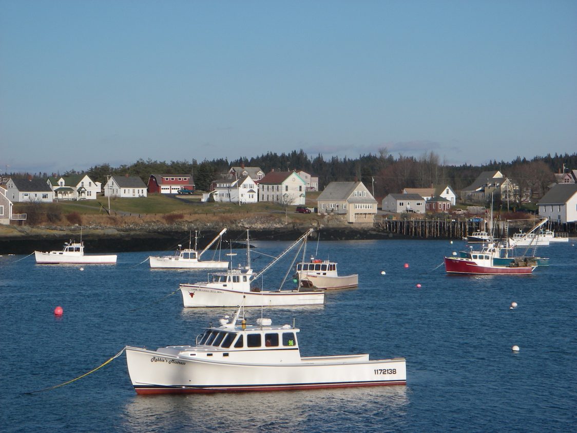Lobster boats anchored off Cutler, Maine. Photo: Malin Pinsky/Rutgers University-New Brunswick
