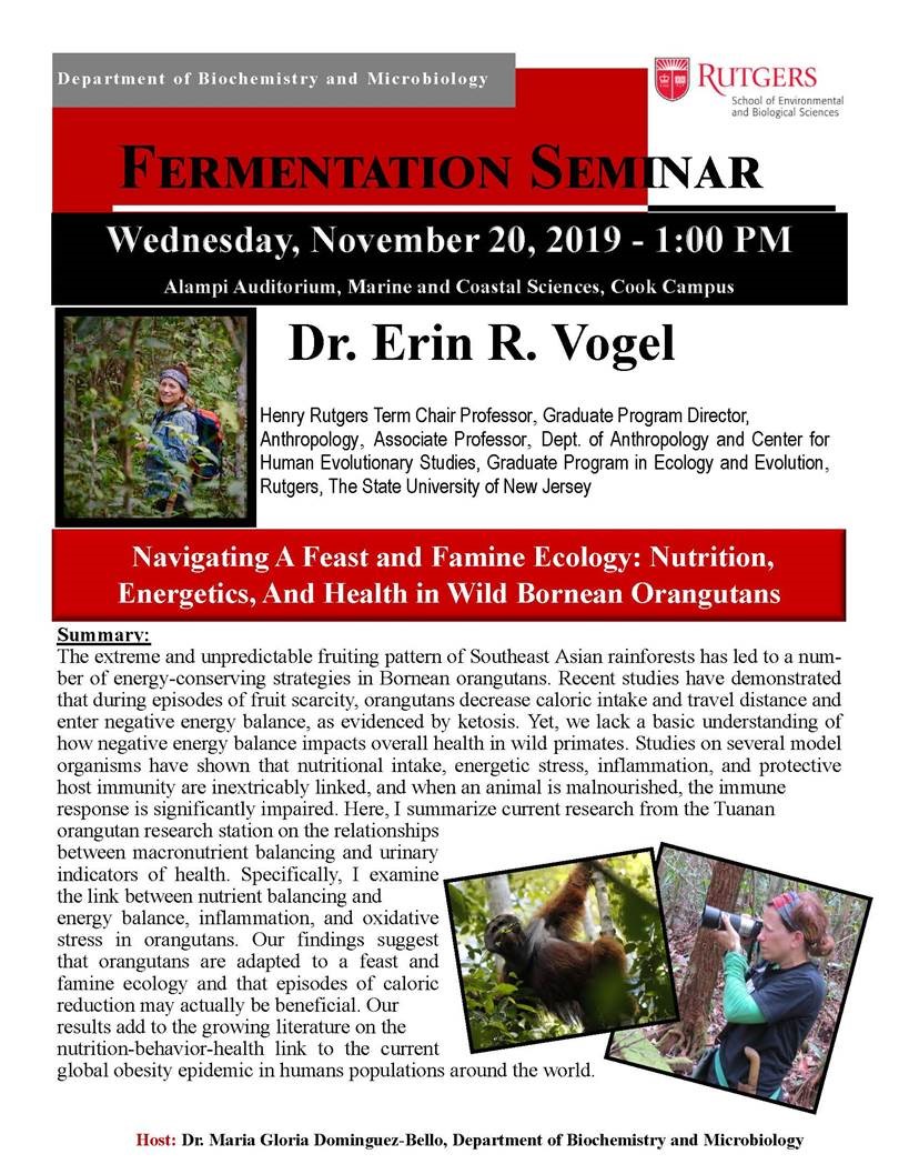 Erin Vogel Seminar Flyer