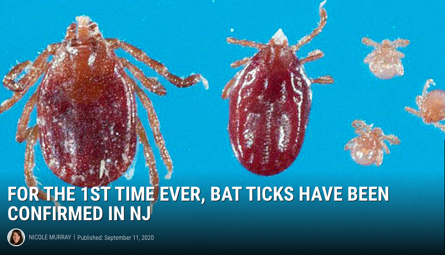 94.3 The Point reports on Rutgers research on the newly discovered bat tick’s presence in New Jersey and quotes EOAS faculty member Dina Fonseca and doctoral student James Occi.
