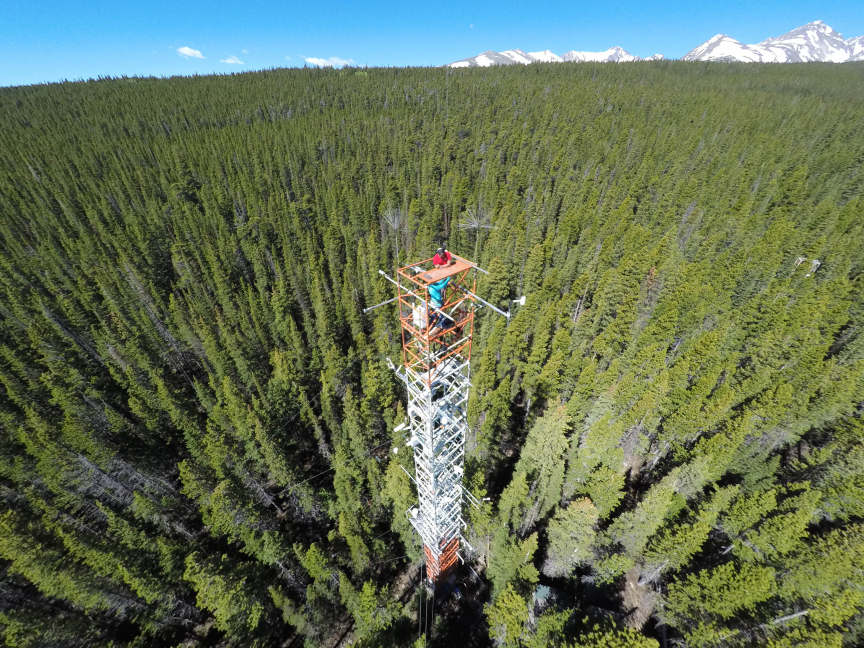 A tall tower with instruments to measure carbon dioxide and light at Niwot Ridge, Colorado. Photo: Christian Frankenberg
