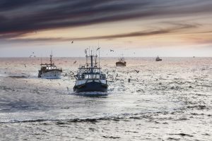 Marine Fisheries Will Not Offset Farm Losses after Nuclear War