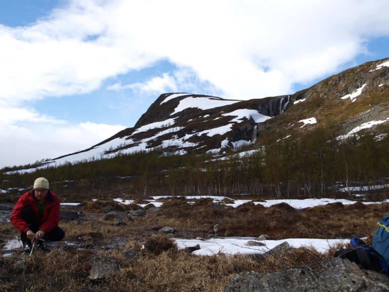 Max Häggblom, Department of Biochemistry and Microbiology at Rutgers, sampling for soil microbes in the Malla Nature Reserve, located at Kilpisjärvi in northwestern Lapland, Finland, one of the project study sites.