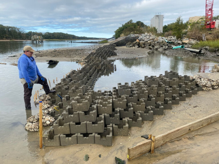 Interlocking concrete blocks called Oyster Castles® help mitigate erosion from waves and outflow pipe runoff at the AIC’s shoreline and create a habitat that mimics an oyster reef. Photo credit: David Bushek.
