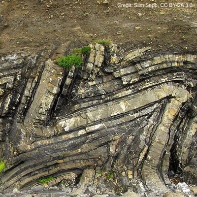 geologic folds