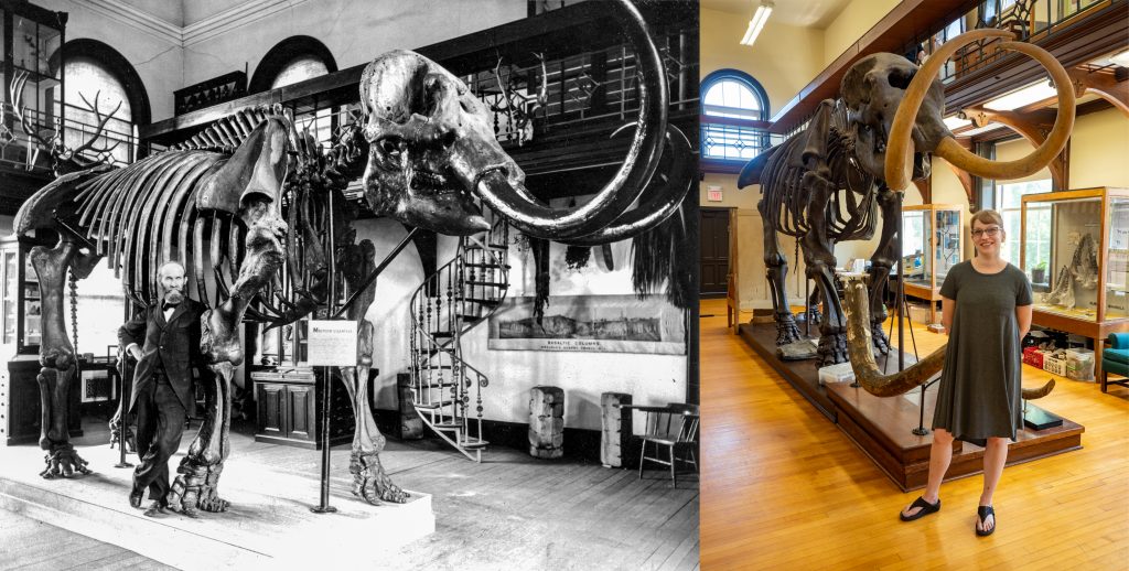 Former Geology Museum Curator William Valiant (early 1900s) and current Geology Museum Director Dr. Lauren Adamo (2018) pose in front of 'Manny the Mastodon' on display at the museum..