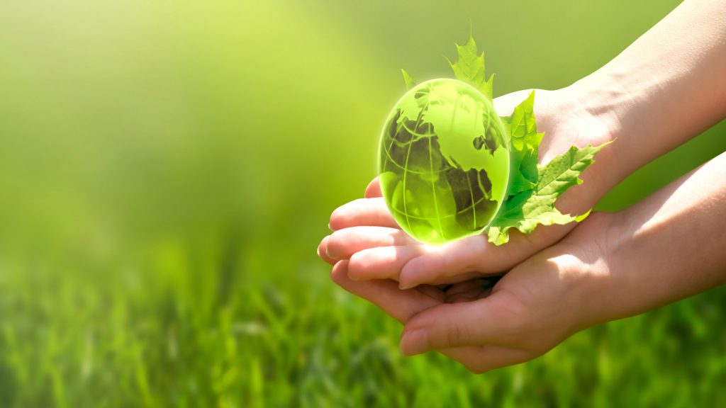 hand holding a small green globe