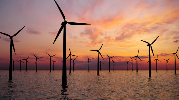 Featured image for “Offshore Wind Farms Expected to Reduce Clam Fishery Revenue, Study Finds”