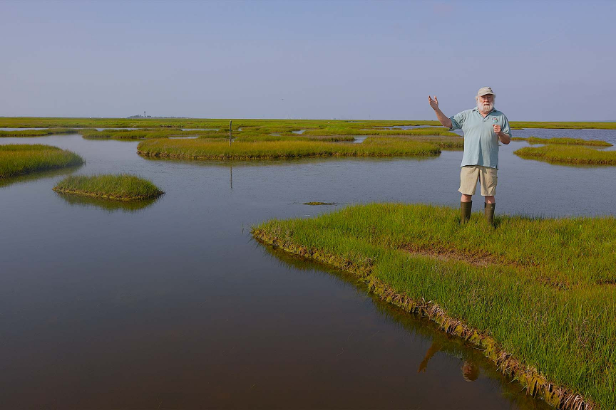 Professor Emeritus Ken Able stands in the Marshlands of Great Bay Blvd WMA, the home of the Rutgers Marine Field Station. Photo: Micah Seidel