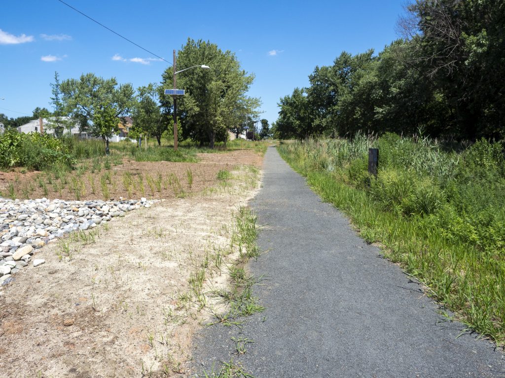 Looking north along a former block of Watson Ave in Woodbridge, NJ. Formerly a quiet residental street with houses, frequent flooding has resulted in this segment of roadway being repurposed into open space with a walking path through the Blue Acres program. Photo: Matt Drews