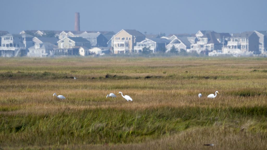 In many places in New Jersey (Such as little Egg Harbor, pictured), coastal communities directly back up to estuaries and shoreline, often with little protection from coastal storms. NJADAPT's plan is to help coastal communities predict and prepare for future storms and climate change related conditions. Photo: Matt Drews