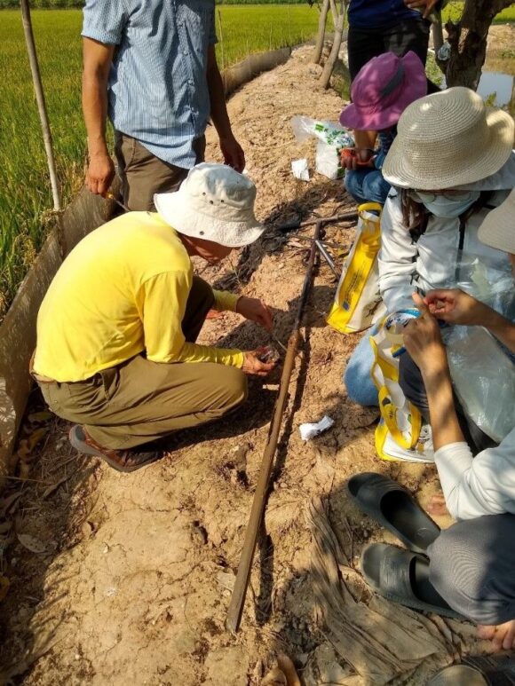 The research team of Max Häggblom, John Reinfelder, Vien Minh Duong and Hang Dam sampling soil cores in the Mekong Delta. Photo: courtesy of Max Häggblom and John Reinfelder.