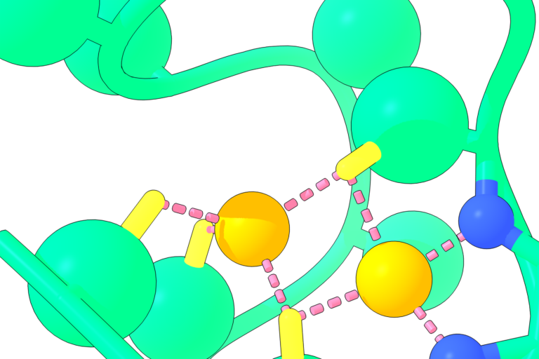 A computer rendering of the Nickelback peptide shows the backbone nitrogen atoms (blue) that bond two critical nickel atoms (orange). Rutgers scientists who identified this piece of a protein believe it may provide clues to detecting planets on the verge of producing life. Photo: Nanda Laboratory.