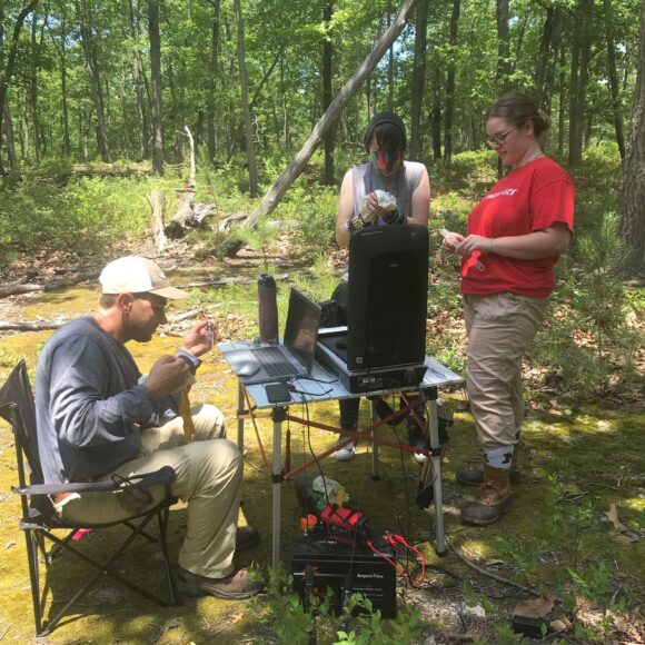 Mox Engleman, Center doing field work for their George H. Cook Honors Project, with fellow researchers.